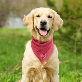 BlissBud Adjustable Cotton Bandana - Heart Solid Color Embroidered Scarf for Large Dogs with Button Fastening,Wine Red,Large