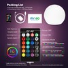 Mr.Go 14-inch LED Ball Light, Cordless Rechargeable Globe Lamp w/Remote,
