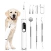 PATWING Ultrasonic Dog Tooth Cleaner, Plaque & Tartar Remover for