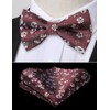 HISDERN Mens Bow Ties Floral Pre-tied Bowtie and Pocket Square