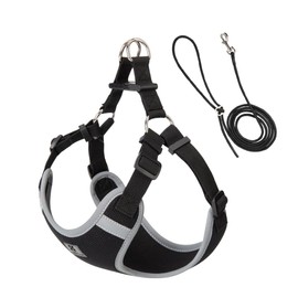 SMALL COMBINATION Nylon Dog Harness, Reflective Strips, Adjustable Straps, Bright Green, with Matching Lead (Black, M)