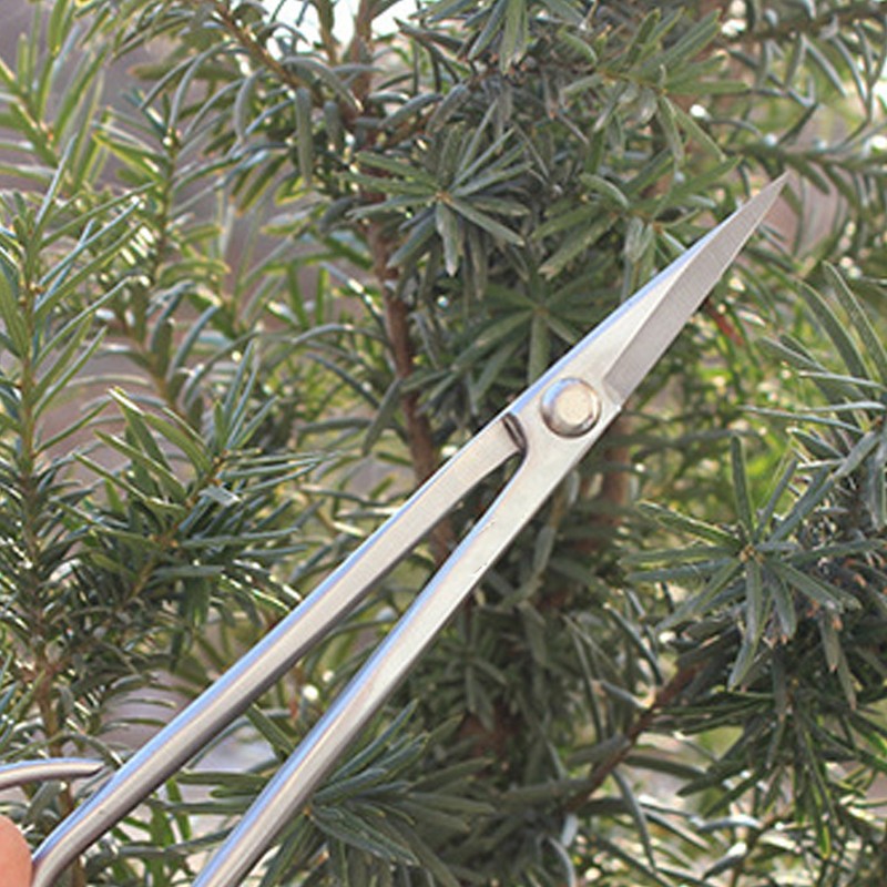 Bonsai Scissors Stainless Steel Leaf Sprout Shears with Long Handle