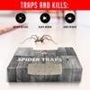Spider Traps for Inside Your Home (16 Traps) - Spider