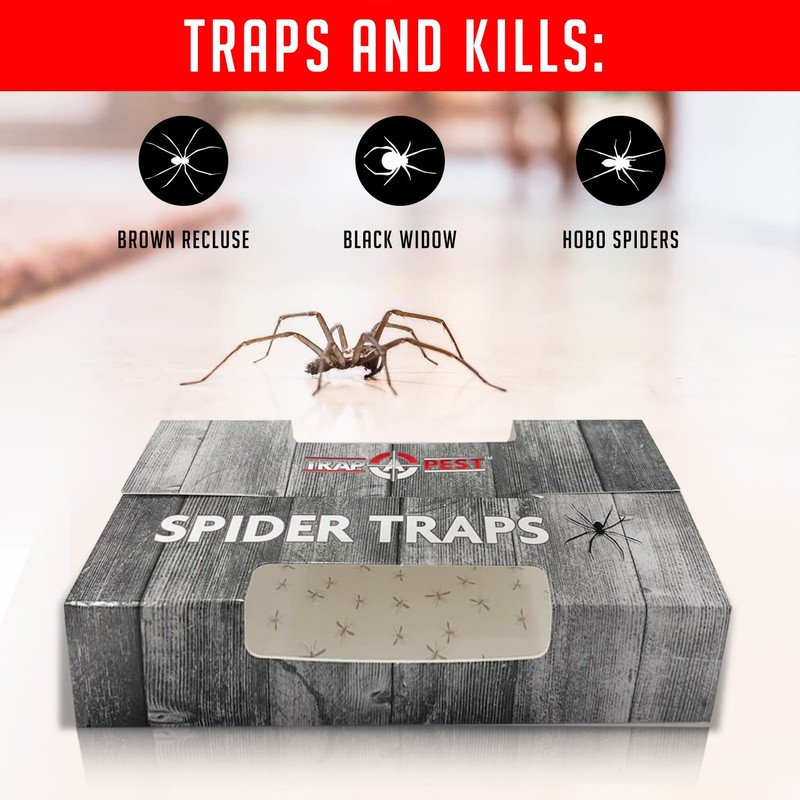 Spider Traps for Inside Your Home (16 Traps) - Spider