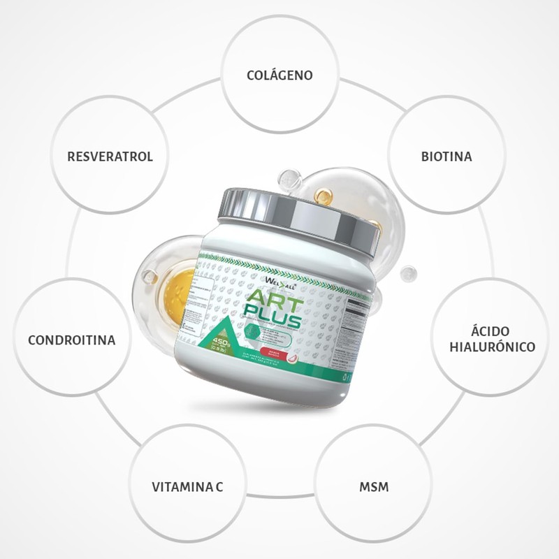 ARTPLUS 450 gr Sabor Sandía
