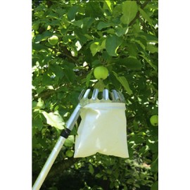 Gravidus Practical fruit feeder with telescopic rod, harvest aid