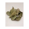 (국내산)구아바잎 100g Domestic Guava Leaf 100g