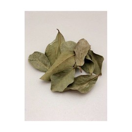 (국내산)구아바잎 100g Domestic Guava Leaf 100g