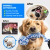 LOOBANI Spring Pole Dog Rope Toys - Tug of War