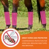 awliye Breathable Mesh Horse Fly Boots, Fly Boots for Horses