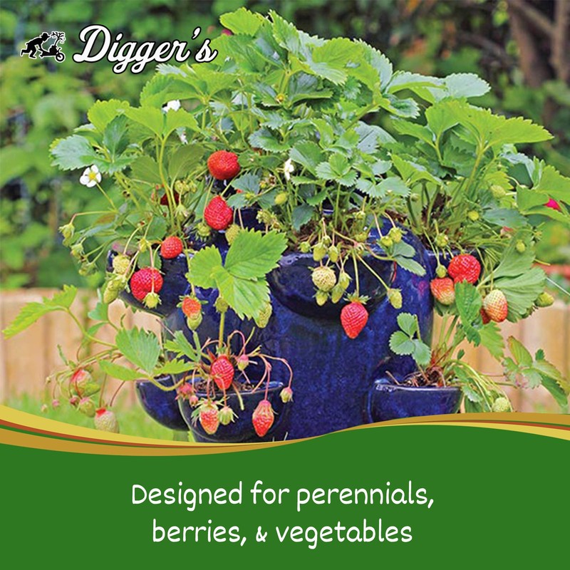 Digger’s 1-Gallon Heavy-Duty Wire Basket - Gopher Wire Basket for