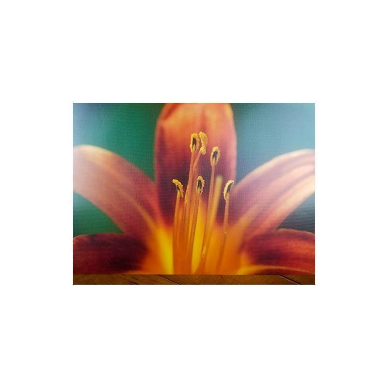 8.5" X 11" Canvas Textured Premium Inkjet Photo Paper -