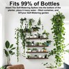 Self Watering Spikes for Indoor Plants - Automatic Plant Watering
