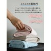 CBJAPAN Carari Earth Hair Drying Towel, 4x Water Absorbency Microfiber,