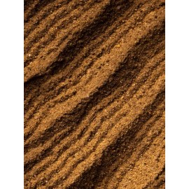 Mr Xingon Sazonador en Polvo Sabor Salsas Negras para Micheladas, Ideal para Bebidas y Botanas, Sabor Intenso y Picante, 600 g
