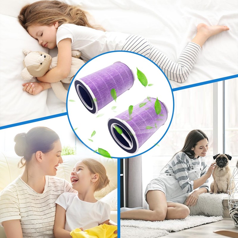 JISIZKY Replacement Air Filter P200S/G200S Compatible With Welov P200S/P200 PRO
