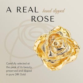 Forever Rose "Be My Valentine Bloom Box Bundle, Real Rose Hand Dipped in 24K Gold in a Beautiful Phantom Vase and Bloom Box, Romantic Valentine's Gift