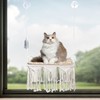 WHDPETS Cat Window Perch, Boho Cat Hammock Wall Mounted with