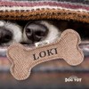 History & Heraldry Loki Squeaky Dog Toy