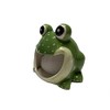Ceramic Sponge/Scrubbie Holder (Frog)