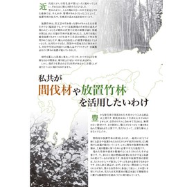 (TV Series Crafts (yamasita Craft) New 若竹 Chopsticks Fine on 22.5 cm 27464000