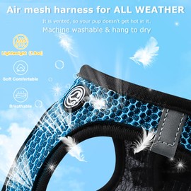 Dog Harness Step in Breathable Puppy Cat Dog Vest Harnesses for Small Dogs, Blue, Large