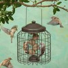 Garden Store Direct Heavy-Duty Deluxe Squirrel Proof Hanging Wild Bird Feeders - Seed, Peanut/Sunflower Hearts or Fat Ball Versions, (Fat Ball Feeder)