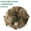 Cardo Mariano - Milk Thistle Loose Tea (1 pound/16.1 oz)