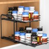 RCHYFEED Spice Rack, 2 Tier Pull out Cabinet Spice Organizer,