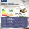 Amico Ceiling Fans with Lights, 30 inch Low Profile Ceiling