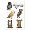 Premium Owl Temporary Tattoos, Party Favors
