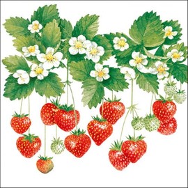 Ambiente Serviettes Lunch 33 x 33 cm Party Summer Fruits
