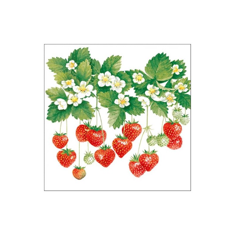 Ambiente Serviettes Lunch 33 x 33 cm Party Summer Fruits