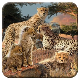 3D LiveLife Cork Coaster - Cheetah Clan from Deluxebase. Lenticular 3D Cheetah Coaster. Non-Slip Table Coasters Featuring Original Artwork by David Penfound. Ideal for Home Decor.