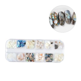 Beavorty 2sets Natural Shell Flake Nail Art Decoration Set Manicure Accessories for DIY Nail Ornament Chic and Creative Design for Women and Ladies