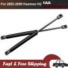 1AA 2x Liftgate Hatch Tailgate Lift Support Gas Spring Strut