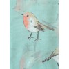 GlamLondon Women's Watercolour Robin Bird Printed Christmas Scarf (Mint Green)