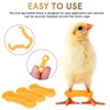 IMIKEYA Pack of 12 Chick Leg Braces Spreader Legs Humpel