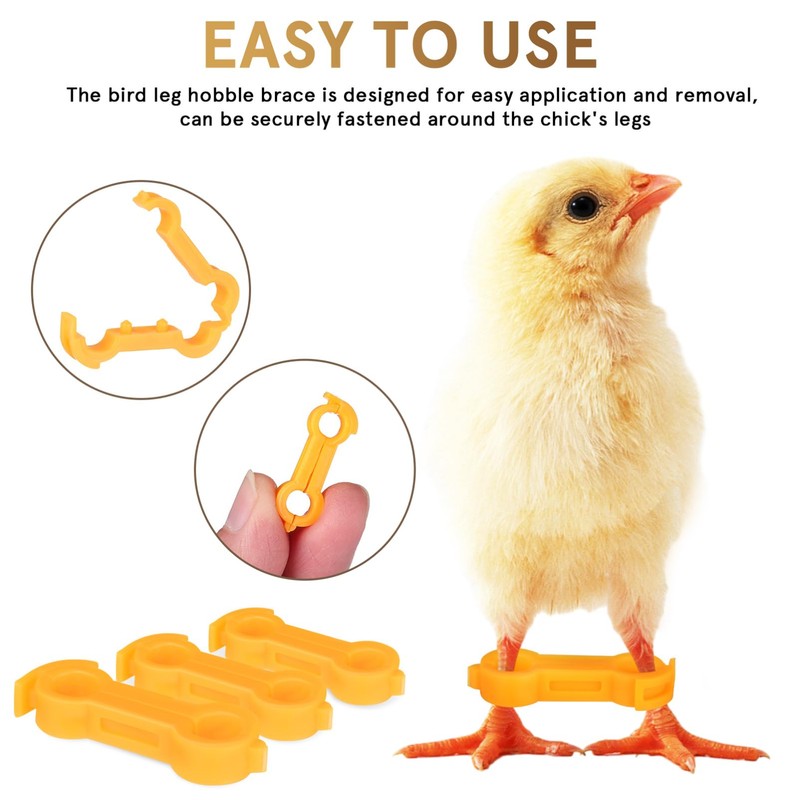 IMIKEYA Pack of 12 Chick Leg Braces Spreader Legs Humpel