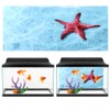 Background Poster Decorative Painting PVC Sticker Landscape Image for Aquarium
