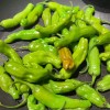 Sunshine Seeds Japanese Shishito Pepper seeds (20) / ORGANIC /