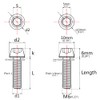 Wanyifa Titanium M6x16 18 20mm Hex Tapered Head for Bicycle