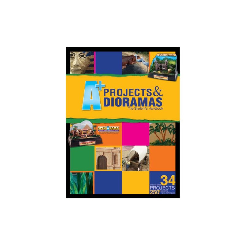 A+ Projects And Dioramas-