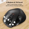 ELECOM EX-G Trackball Mouse, 2.4GHz USB Wireless, Ergonomic Design, Thumb