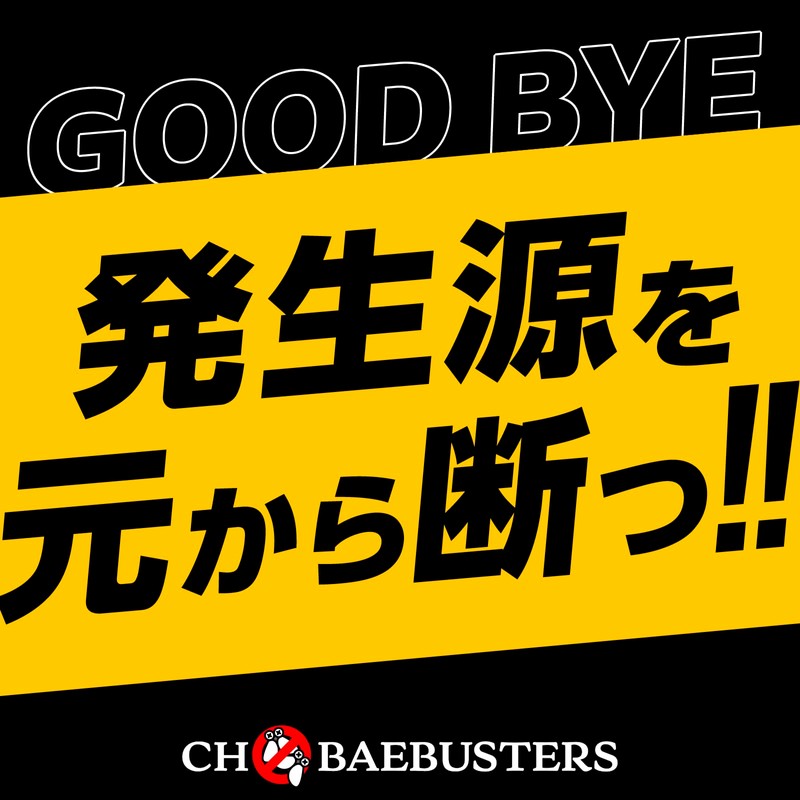 Kobayaga Hoi Hoi Earth Chobae Extermination Granules Fruit Fly Catcher