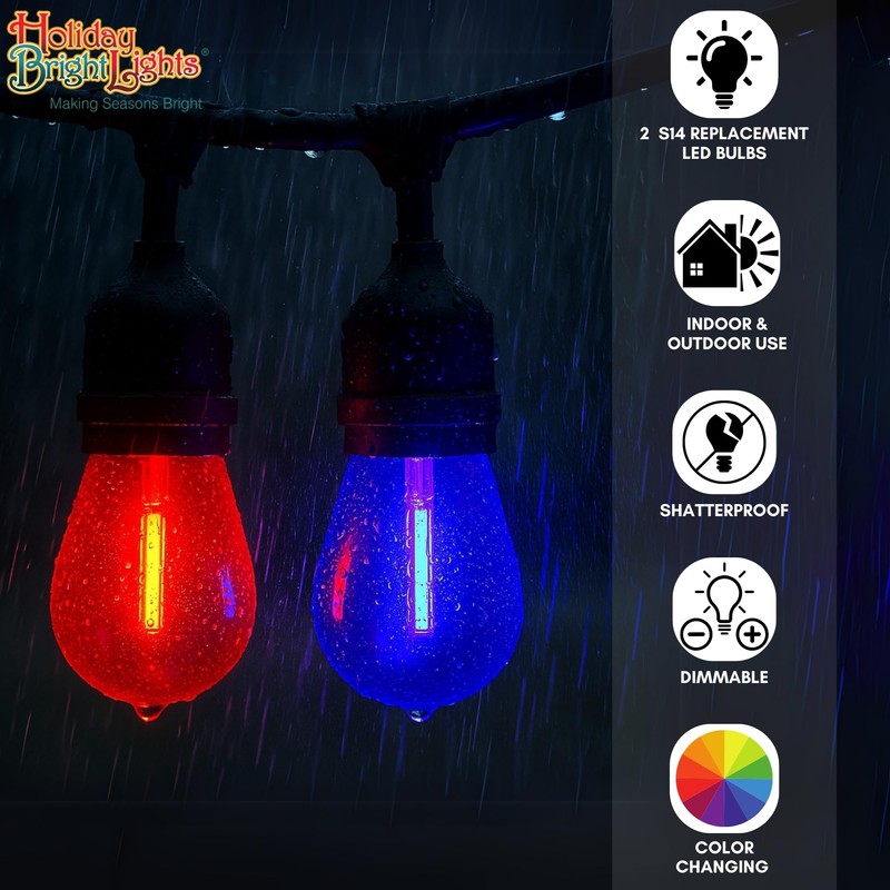 Holiday Bright Lights Belle Luci Replacement S14 Color-Changing LED Bulbs