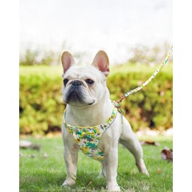 Dote on No Pull Dog Harness and Lead Set, Soft Adjustable Puppy Cat Harness, Floral/Plaid Escape Proof Pet Vest Harness for Extra Small/Small Medium Dogs, Yellow Flower, M