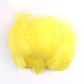 Duories Pack of 100 Colourful Feathers for Crafts, Natural Feathers, Goose Feathers, Indian Craft Feathers for DIY Artwork, Masks, Hats, Earrings, Hair Accessories, Dream Catcher, Wedding, Carnival,