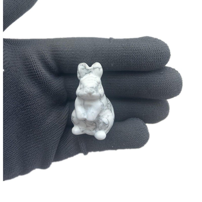 Sunshcat Natural White Howlite Turquoise Hand Carved Crystals and Healing