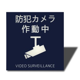 Seagron Security Camera Activated Magnetic Sign Plate 0.08 inch (2 mm) Acrylic, Stylish (3.9 x 3.9 inches (100 x 100 mm), Security Camera Operated - Blue